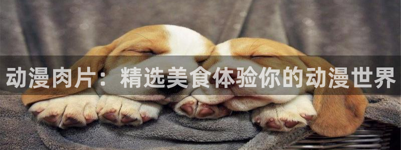 omofun追番列表：动漫肉片：精选美食体验你的动漫世界配图