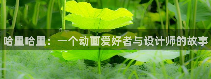 omofun动漫官网新番：哈里哈里：一个动画爱好者与设计师的故事配图