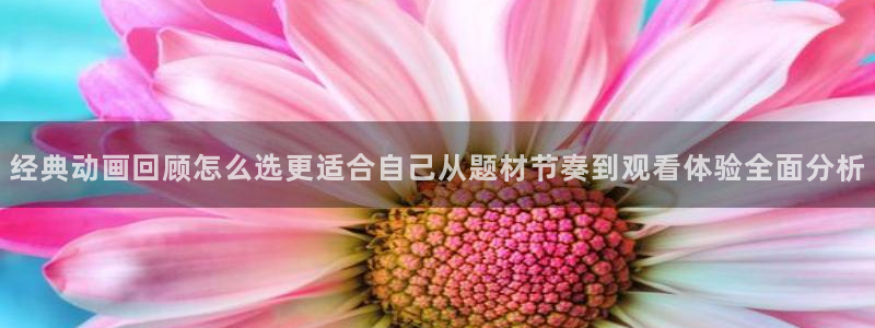 omofun免费动漫：经典动画回顾怎么选更适合自己从题材节奏到观看体验全面分析配图