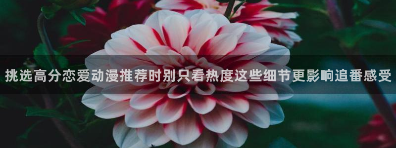 omofun完整版动漫：挑选高分恋爱动漫推荐时别只看热度这些细节更影响追番感受配图