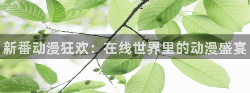 omofun动漫在线观看：新番动漫狂欢：在线世界里的动漫盛宴配图