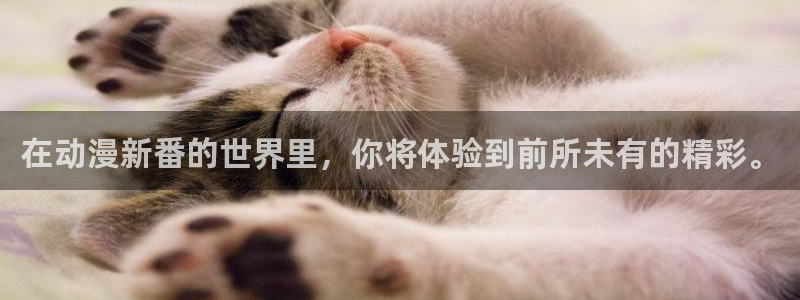 omofun网页版：在动漫新番的世界里，你将体验到前所未有的精彩。配图