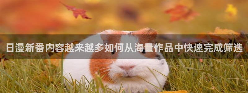omofun动漫推荐排行:日漫新番内容越来越多如何从海量作品中快速完成筛选配图