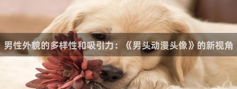 omofun日本动漫推荐：男性外貌的多样性和吸引力：《男头动漫头像》的新视角配图