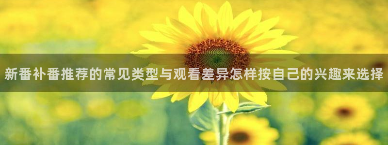 omofun动漫全集在线观看:新番补番推荐的常见类型与观看差异怎样按自己的兴趣来选择配图