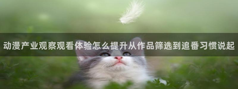 omofun经典动漫:动漫产业观察观看体验怎么提升从作品筛选到追番习惯说起配图